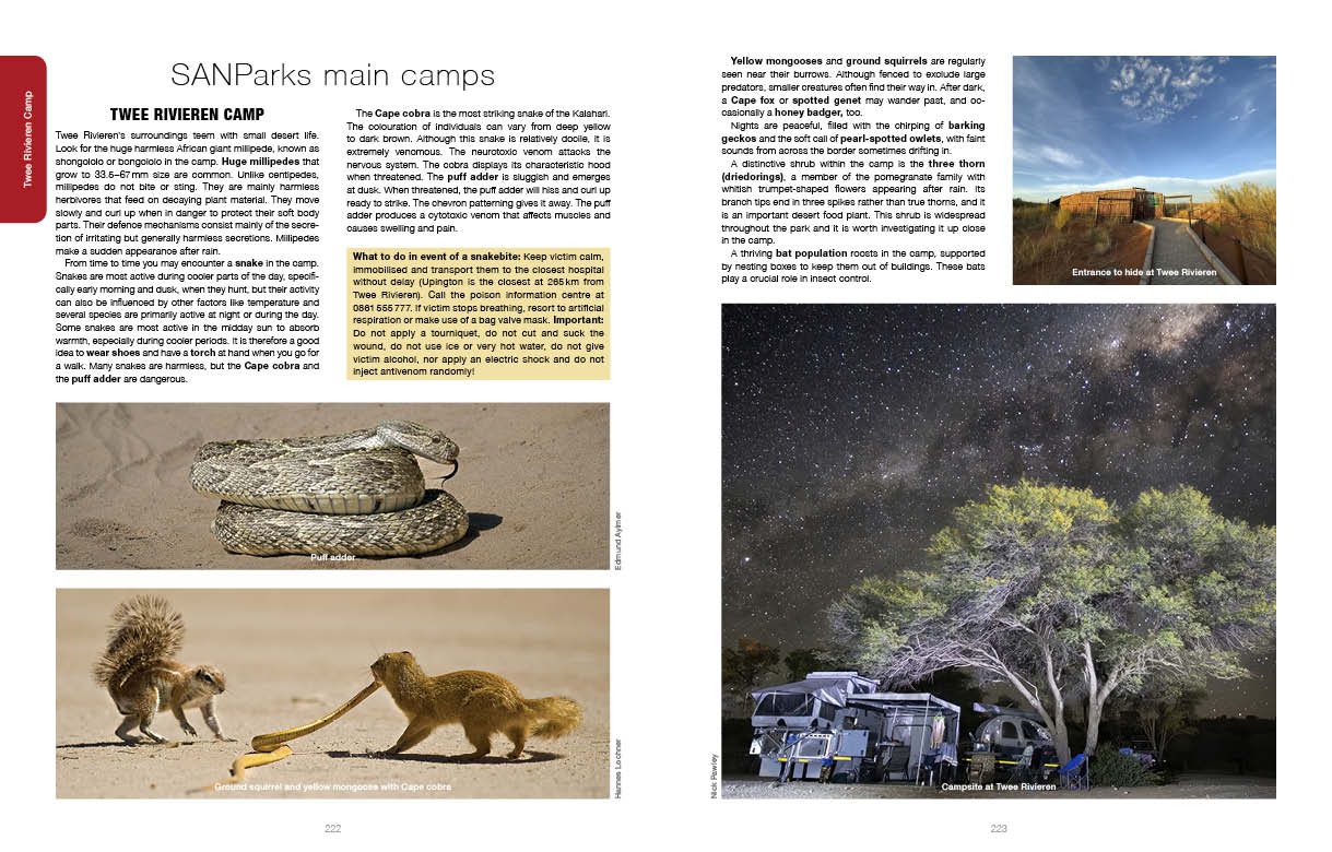 Kgalagadi Self Drive 2nd Edition SPREADS2