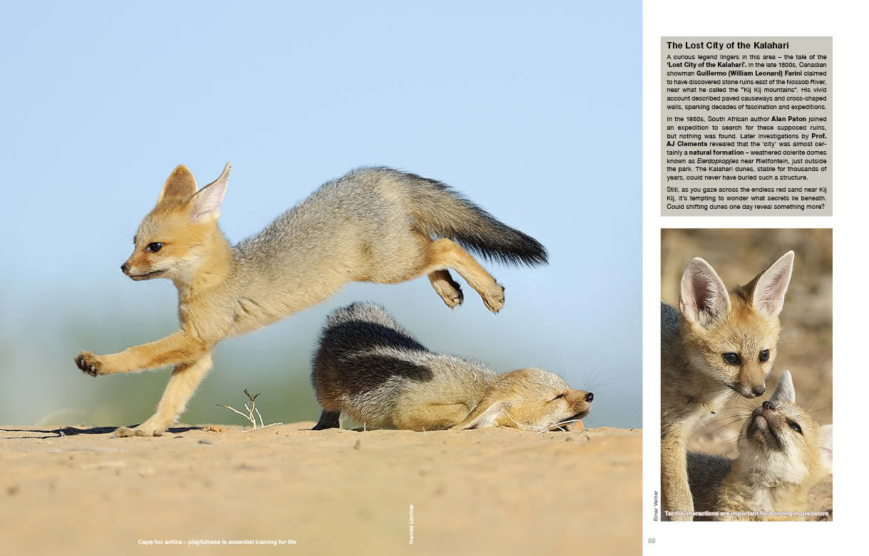 Kgalagadi Self Drive 2nd Edition SPREADS35