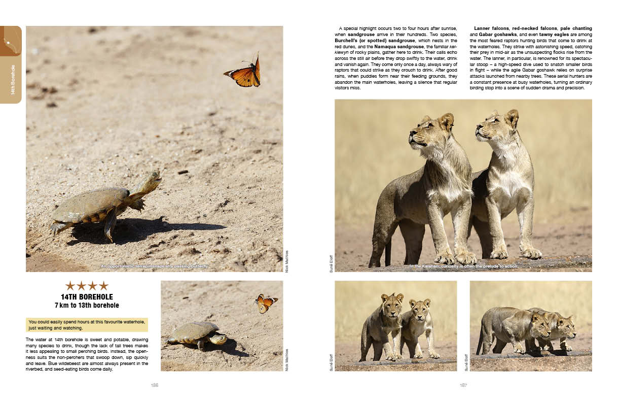 Kgalagadi Self Drive 2nd Edition SPREADS2