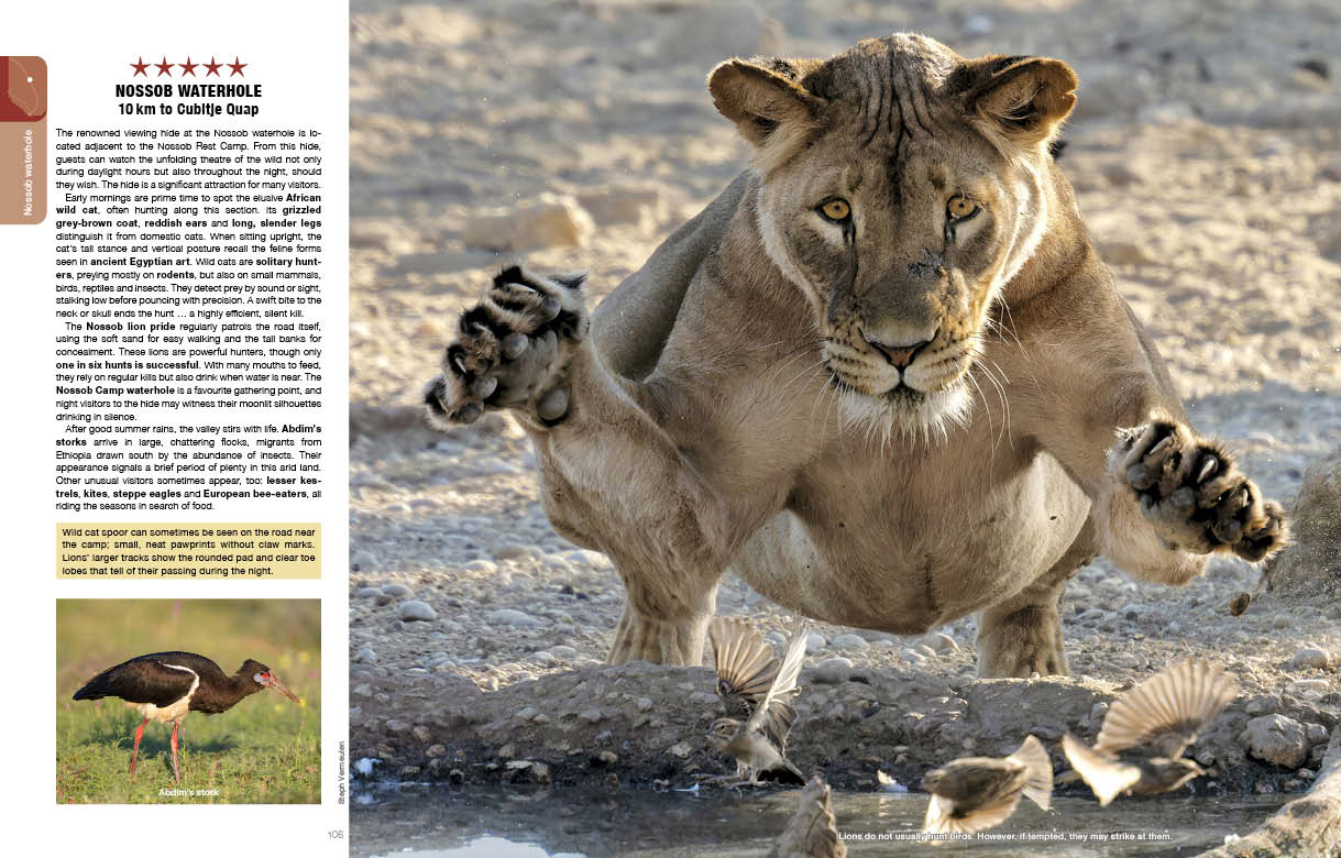 Kgalagadi Self Drive 2nd Edition SPREADS28