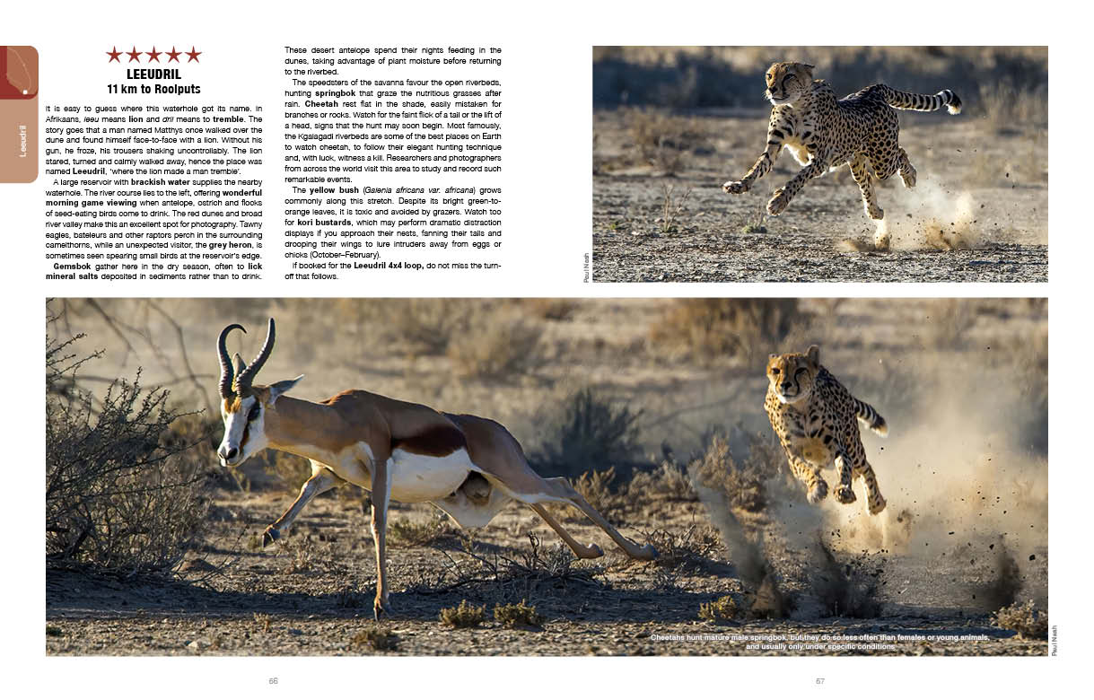 Kgalagadi Self Drive 2nd Edition SPREADS2